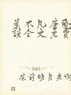 叶不凡唐飞雪小说全文免费阅读完整版封面