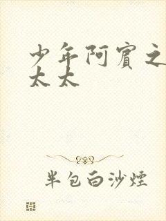 少年阿宾之房东太太