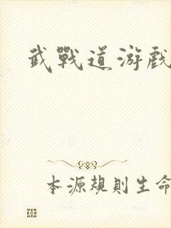 武战道游戏