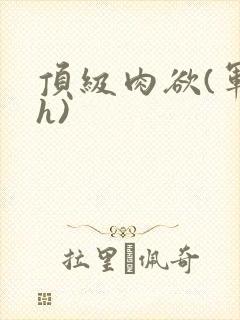 顶级肉欲(军高h)