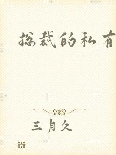 总裁的私有宝贝