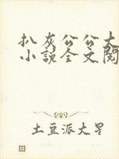 扒灰公公大杂烩小说全文阅读