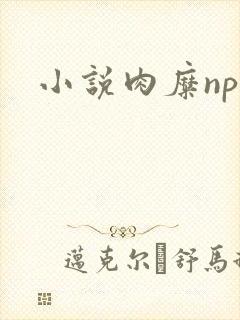 小说肉糜np