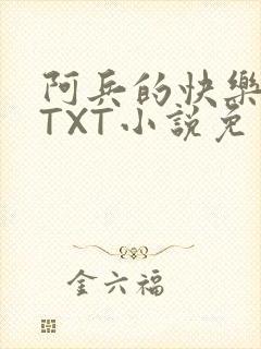 阿兵的快乐生活TXT小说免费阅读全章