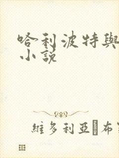 哈利波特与密室小说