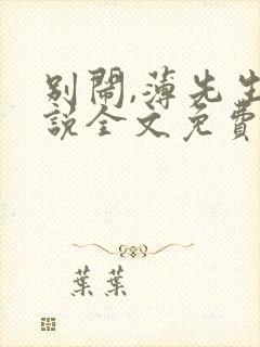 别闹,薄先生小说全文免费阅读