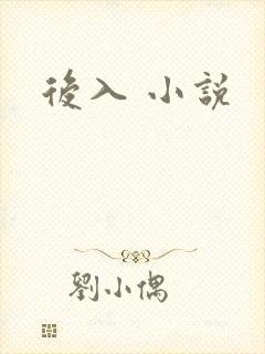 后入 小说