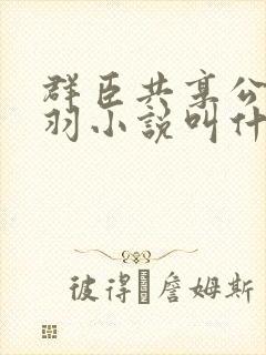 群臣共享公主银羽小说叫什么