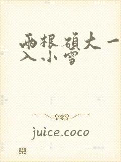 两根硕大一起挤入小雪