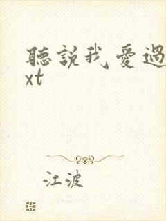 听说我爱过你txt