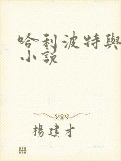 哈利波特与密室小说