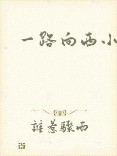 一路向西小说