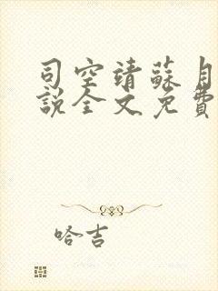 司空靖苏月汐小说全文免费阅读