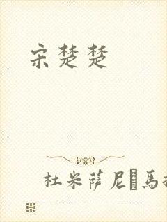 宋楚楚