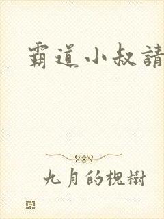 霸道小叔请轻撩