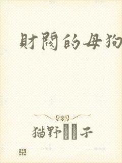 财阀的母狗们