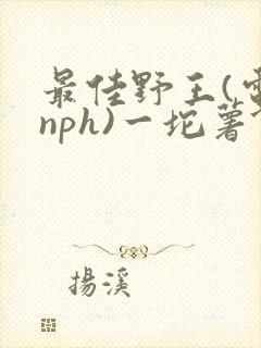 最佳野王(电竞nph)一坨薯饼