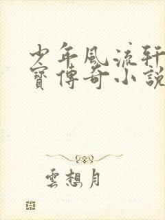 少年风流轩辕大宝传奇小说