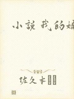 小说 我的娇妻