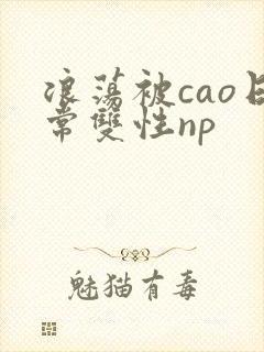 浪荡被cao日常双性np