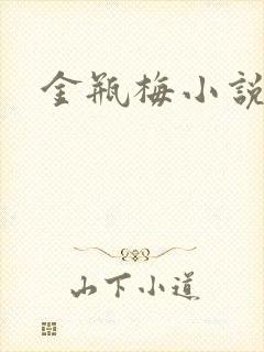 金瓶梅小说下载