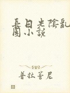 长日光阴乱作一团小说