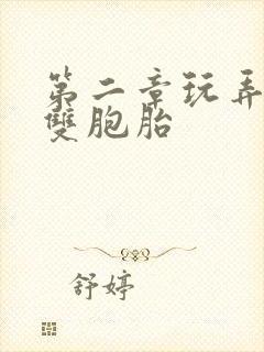 第二章玩弄少妇双胞胎