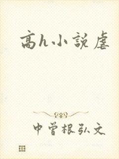 高h小说虐