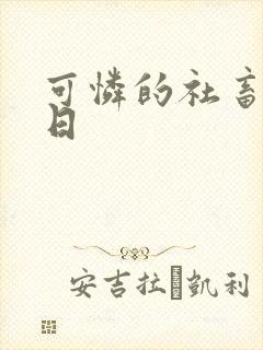 可怜的社畜东度日