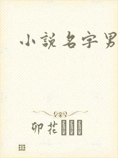小说名字男生
