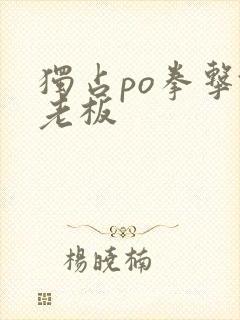 独占po拳击馆老板