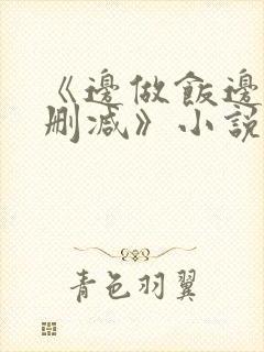 《边做饭边躁无删减》小说