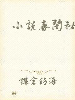 小说春闺秘史