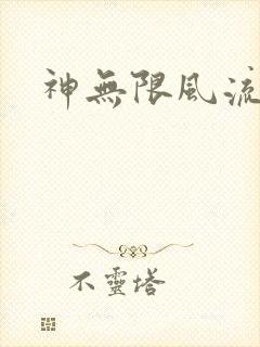 神无限风流封面