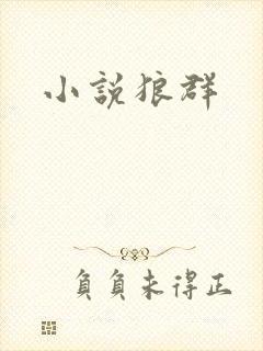 小说狼群