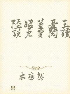 陆昭菱晋王的小说免费阅读