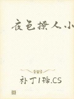 夜色撩人小说