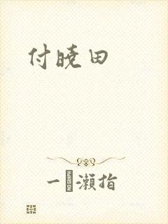付晓田
