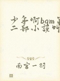 少年啊bgm第二部小说叫什么