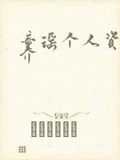 童瑶个人资料简介