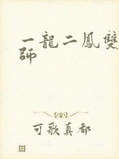一龙二凤双飞老师