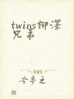 twins柳泽兄弟