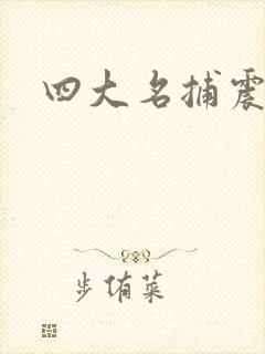 四大名捕震关东