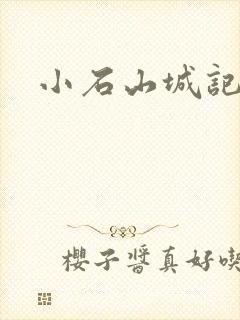 小石山城记
