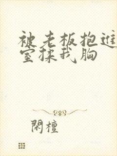 被老板抱进办公室揉我胸