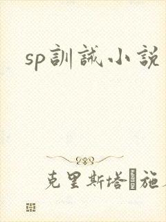 sp训诫小说
