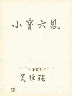 小宝六凤