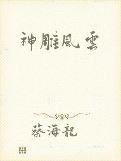 神雕风云