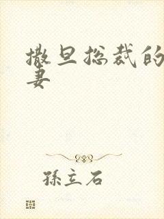 撒旦总裁的下堂妻