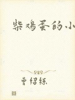 柴鸡蛋的小说